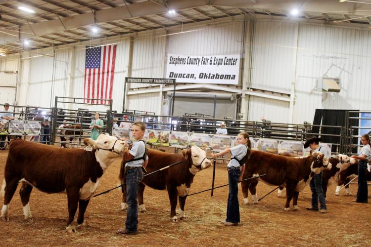 Miniature Hereford Junior Nationals set up at county fairgrounds