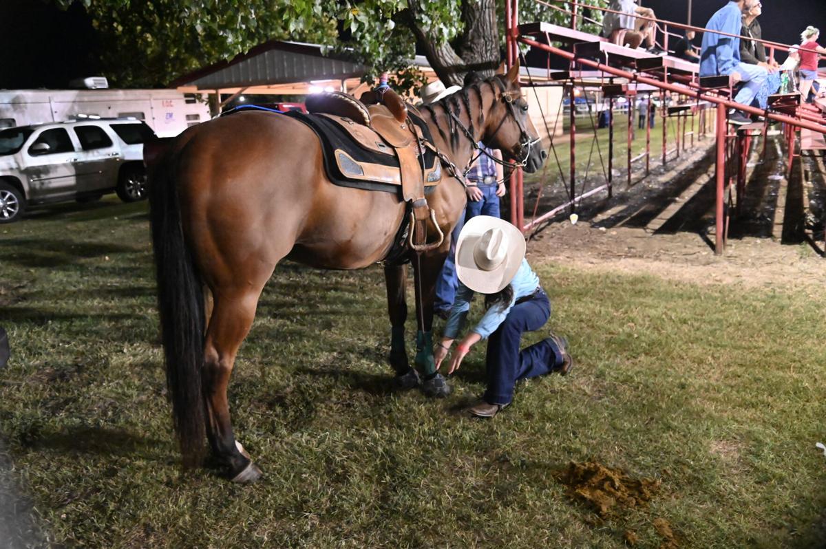 Rodeo
