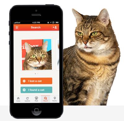 High tech answers to dog, cat gone | Community | duncanbanner.com