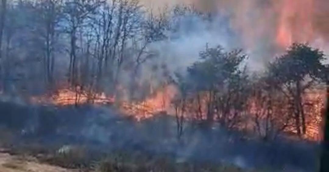 Fire crews battle blaze in Velma