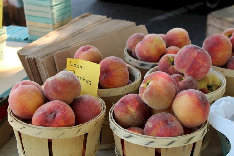 Dundalk Farmers Market returns News