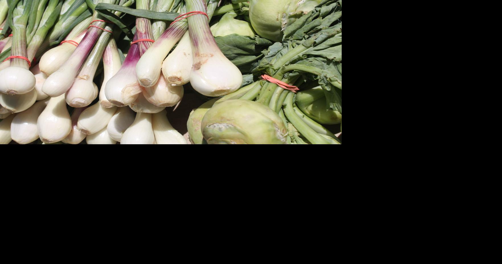 Dundalk Farmers Market celebrates opening day Local News