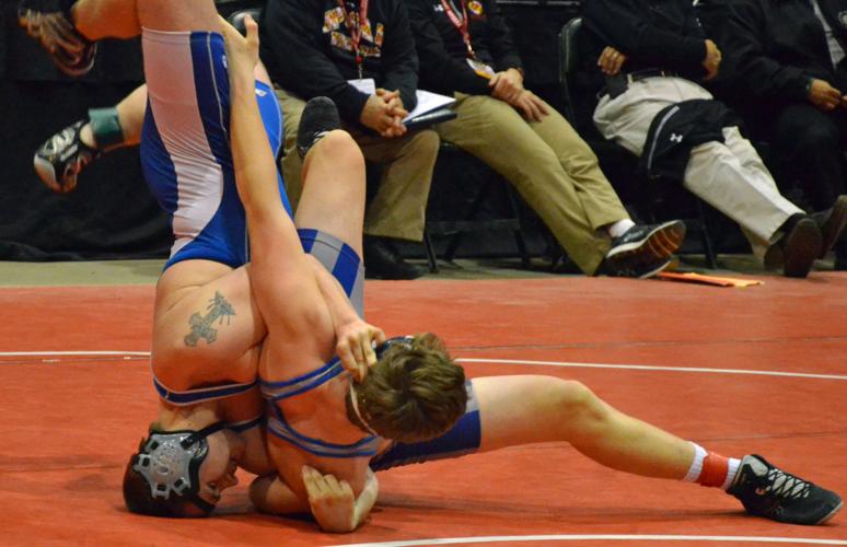 Pointers' Hammond, Fouts finish sixth in state tourney | Sports ...