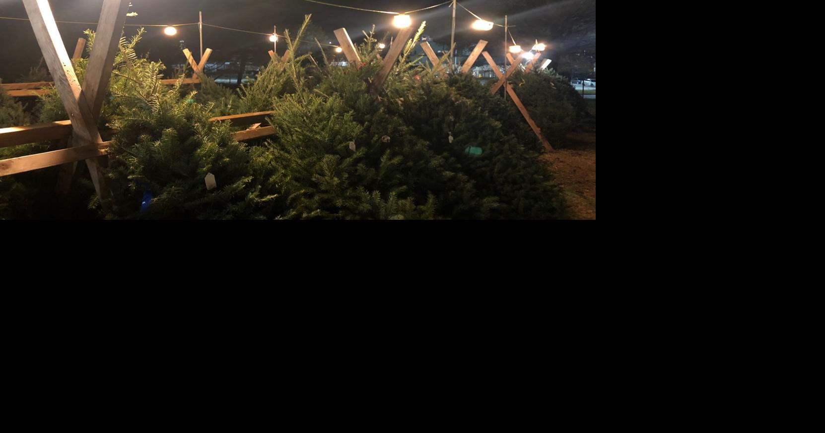 Optimists beat supply chain woes, start selling Christmas trees News