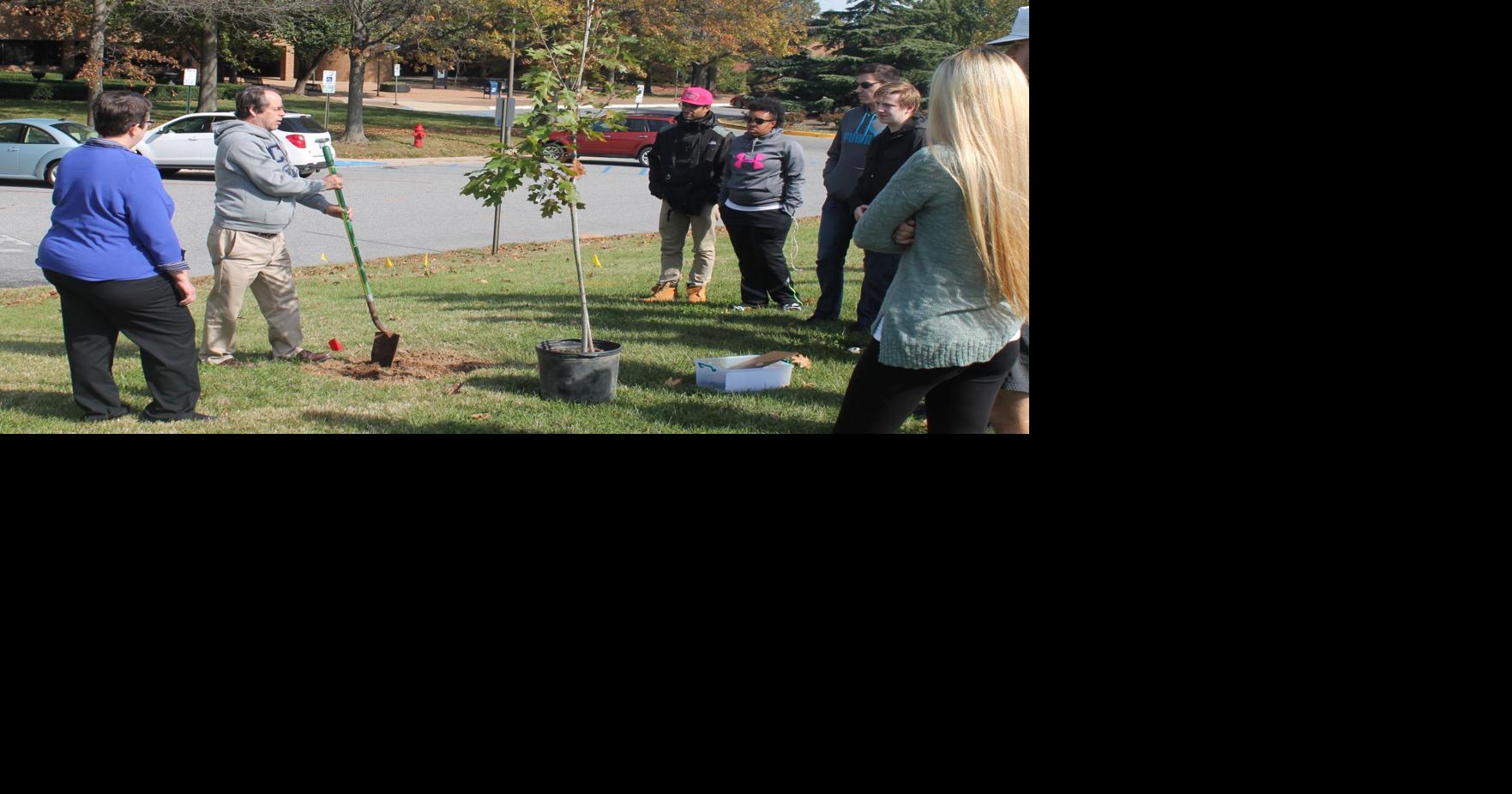 CCBC Dundalk to host horticulture job fair Feb. 10 News