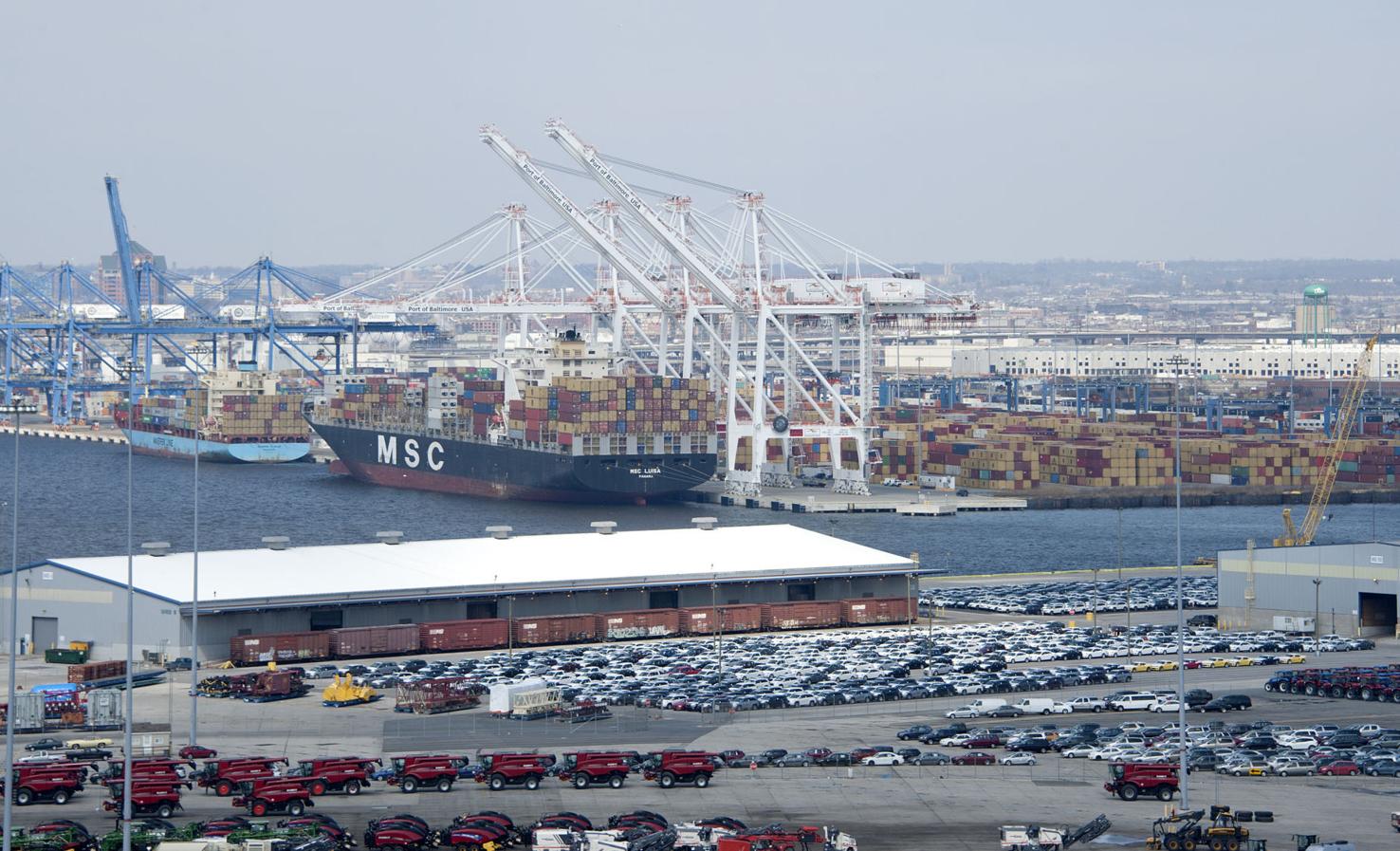 Dundalk Marine Terminal spot for environmental project Local News