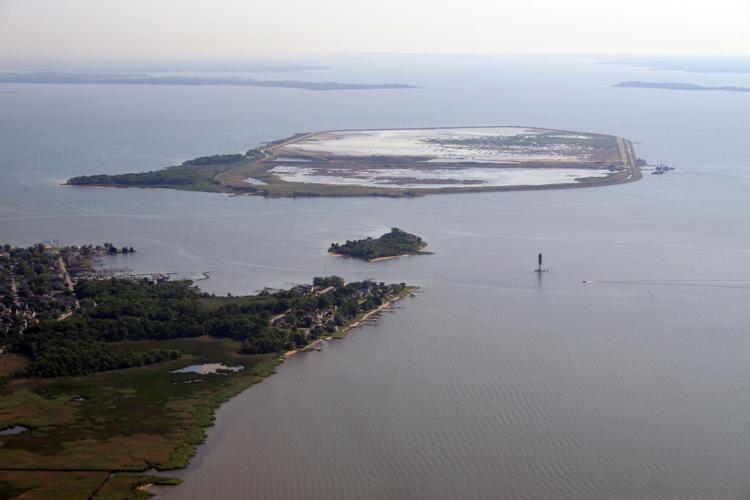 Activists elated, Tradepoint frustrated as HartMiller Island won't