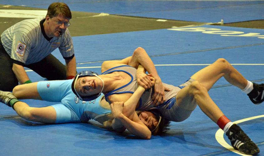 Pointers' Hammond, Fouts finish sixth in state tourney | Sports ...