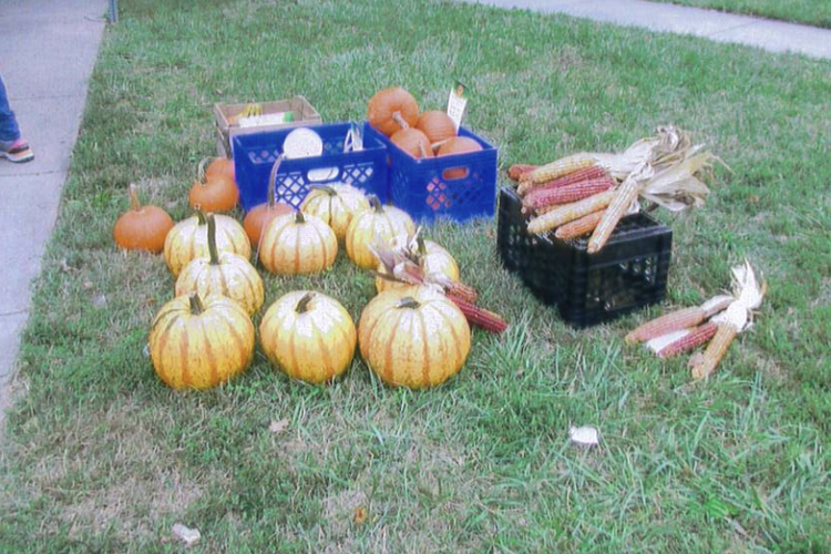 Get local produce at Dundalk Farmers Market Local News