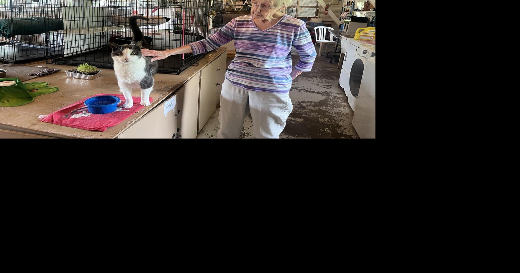 ‘Devastating’: Longtime Pickering cat sanctuary must find a new home
