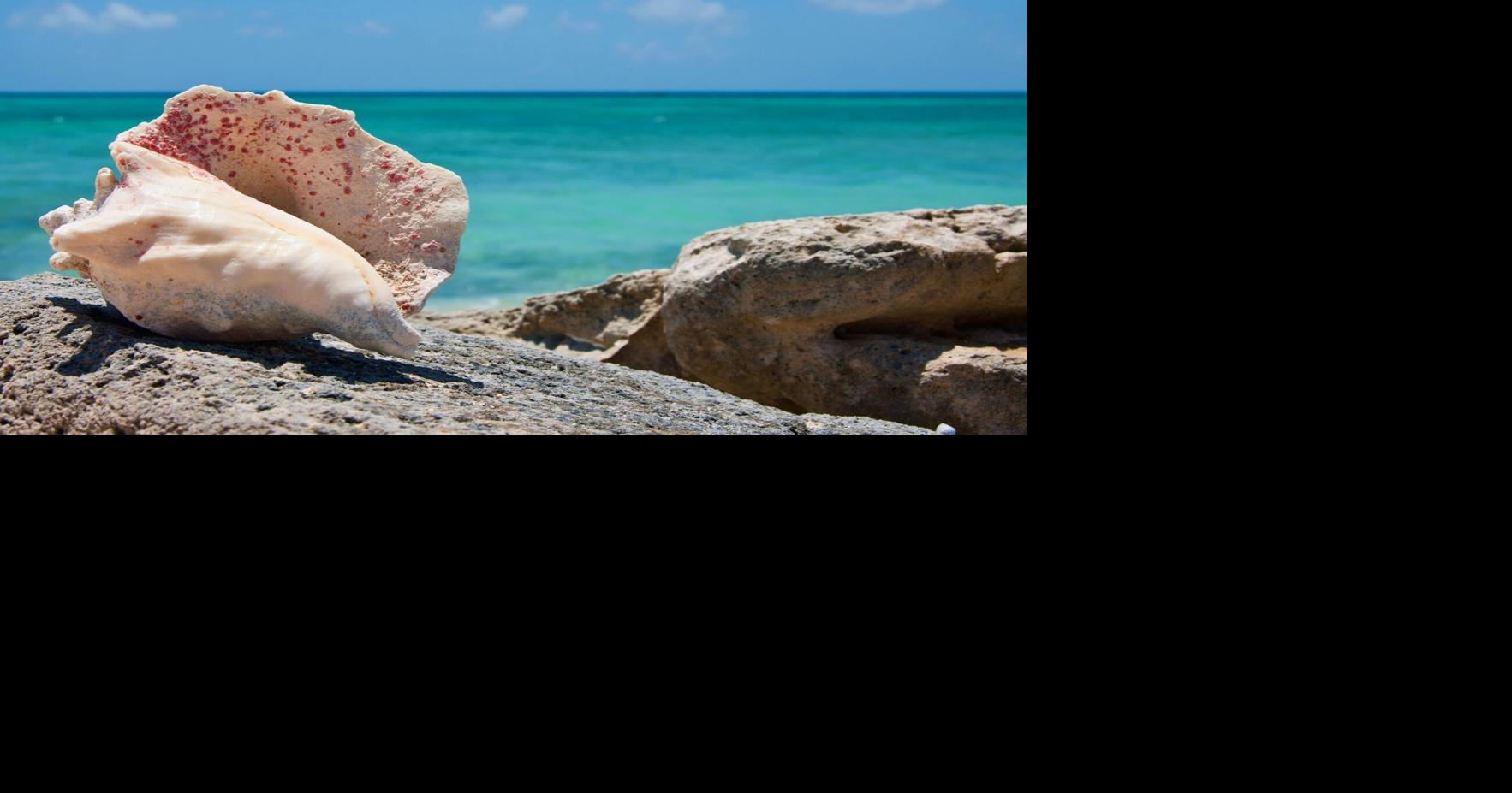 Flying south for winter break? Canada has travel warnings for these popular vacation destinations right now