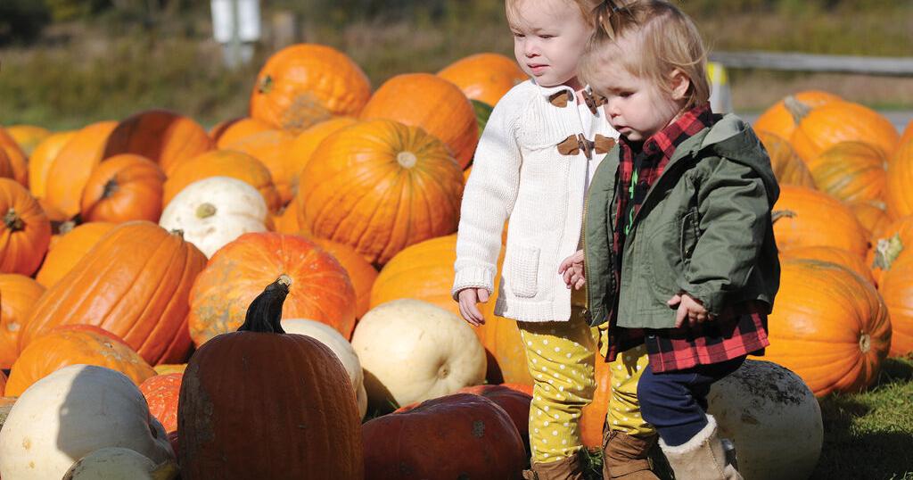 Thanksgiving hand and feet turkey Thanksgiving hand and feet turkey