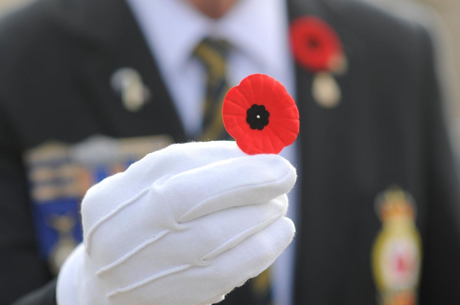 What’s new with this year’s poppy campaign?