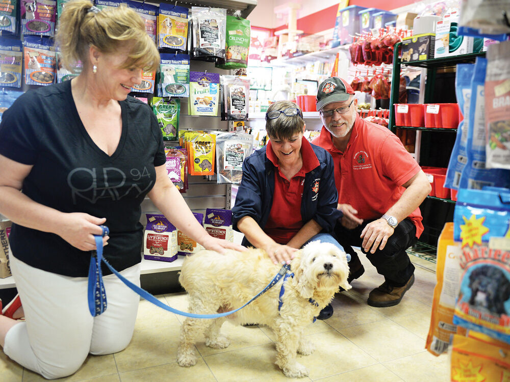 Chelsea shop dog store