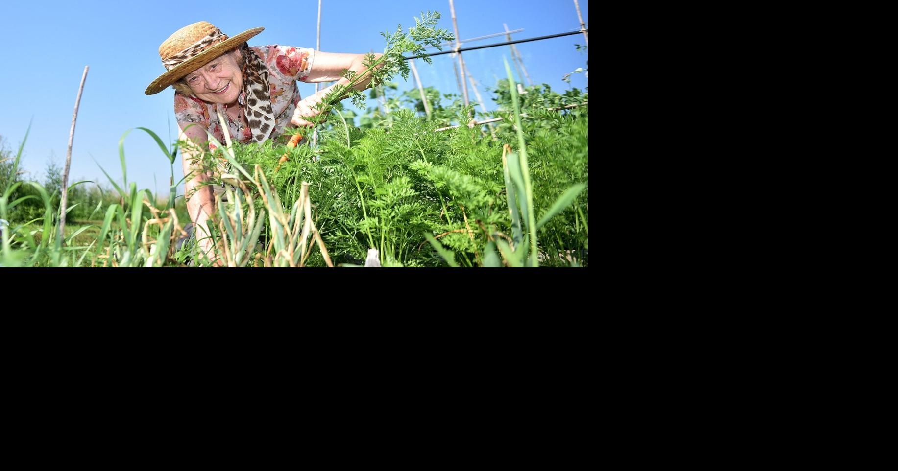 Bowmanville Garden Allotment open house on Aug. 7