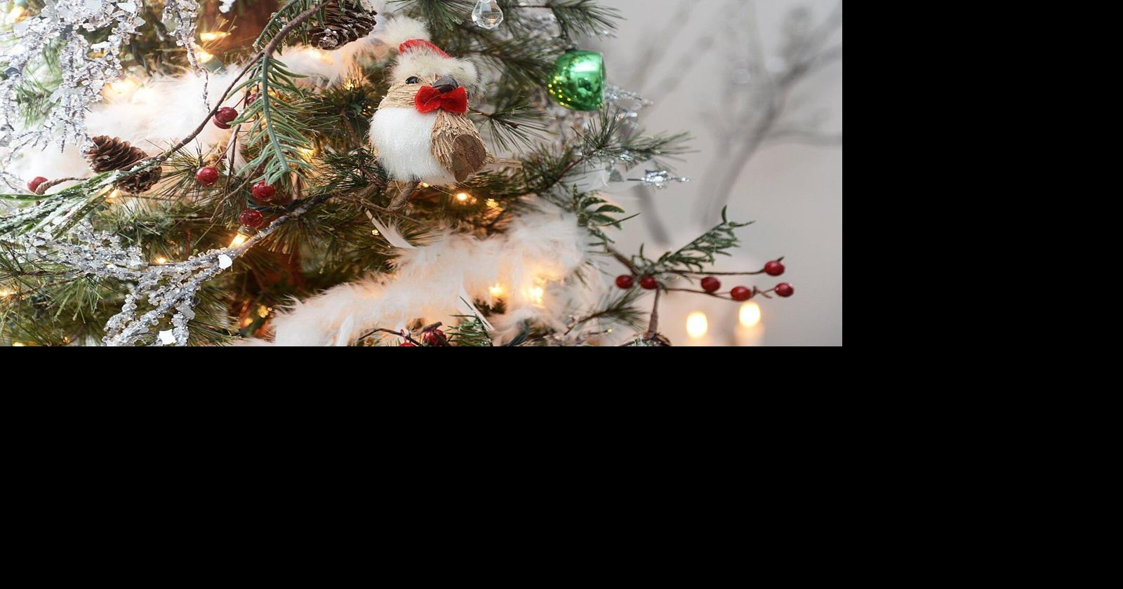 'It's an experience' Uxbridge Rotary presents first Christmas Market