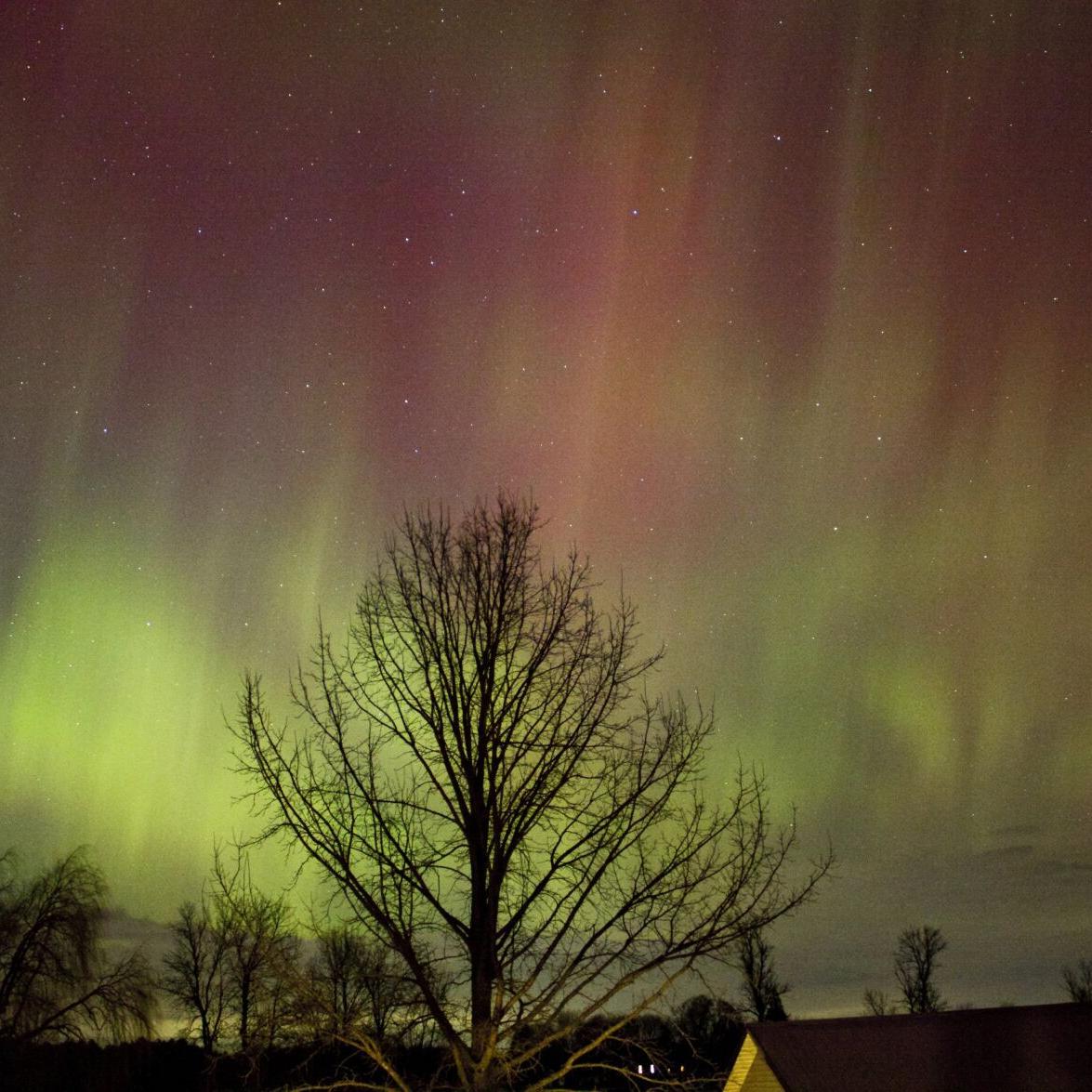 Travel west or north': How to spot Ontario's breathtaking northern lights  around Oshawa and Toronto as well as Peel, Halton and York regions
