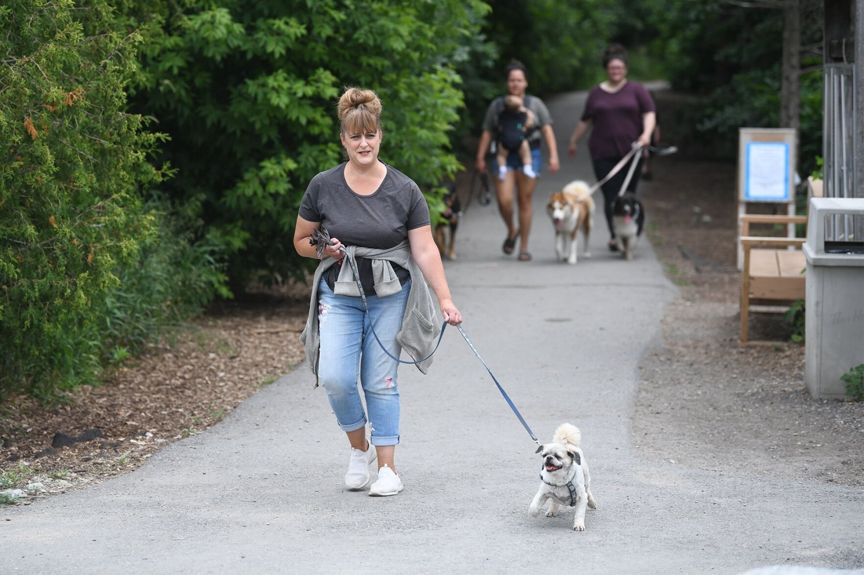 Nice places to shop walk dogs near me