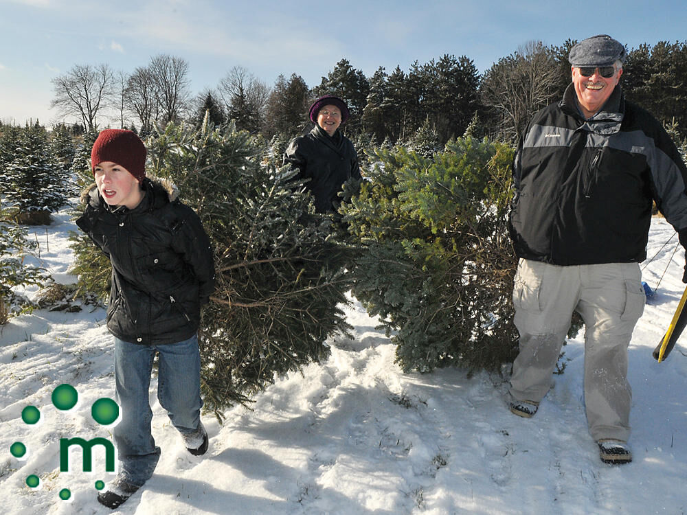 Durham residents can compost Christmas trees after the holidays