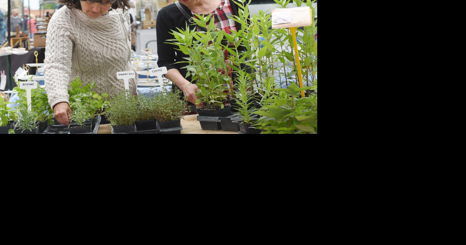 Port Perry farmers' market to grow in shadow of Old Mill
