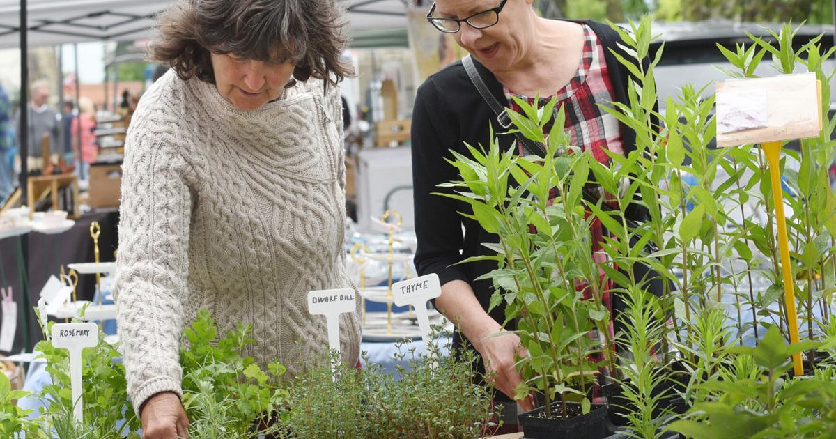 Port Perry farmers' market to grow in shadow of Old Mill Port Perry farmers' market to grow in shadow of Old Mill