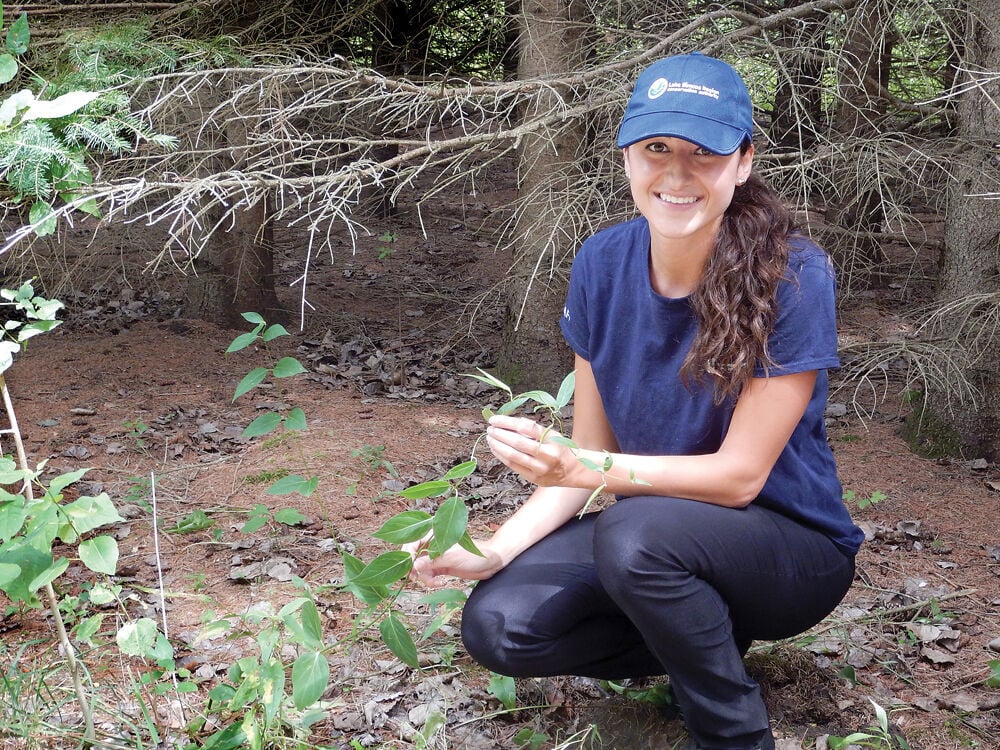 Invading species awareness program finds Uxbridge forests have ...