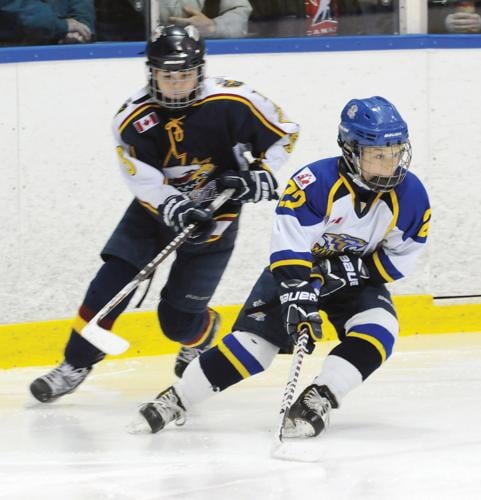 Whitby teams win gold, silver and bronze at OMHA AAA tournaments