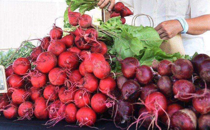 Uxbridge Farmers Market  Your Sunday Destination