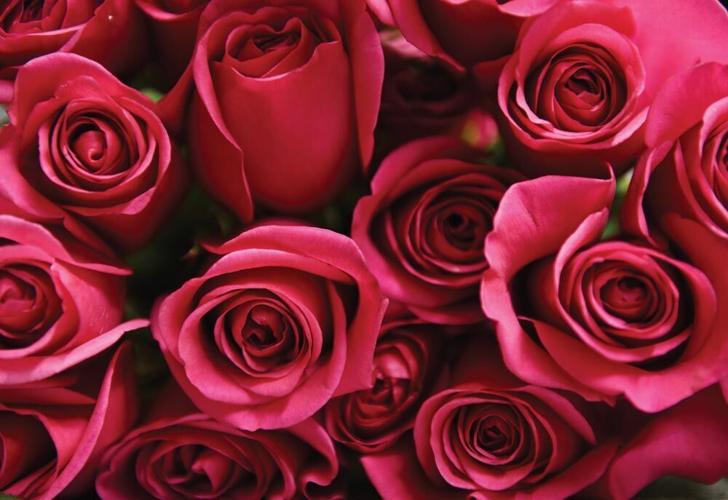 Top 5 flowers for Valentine's Day