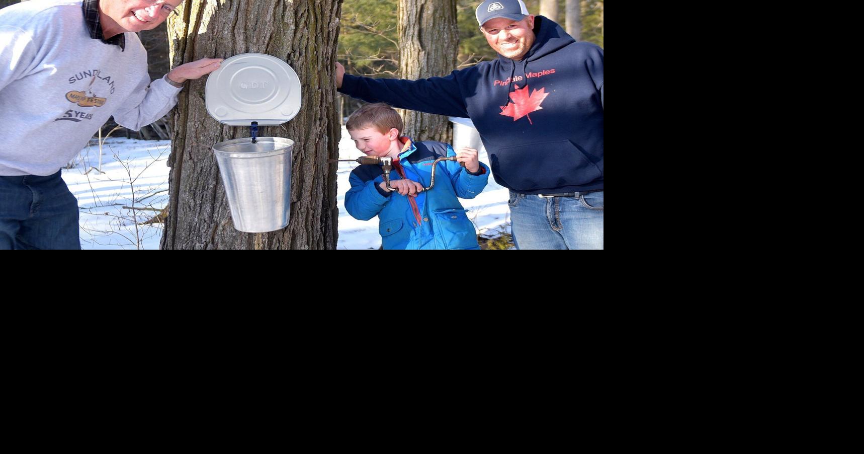‘Really looking forward to it’ Sunderland Maple Syrup Festival returns