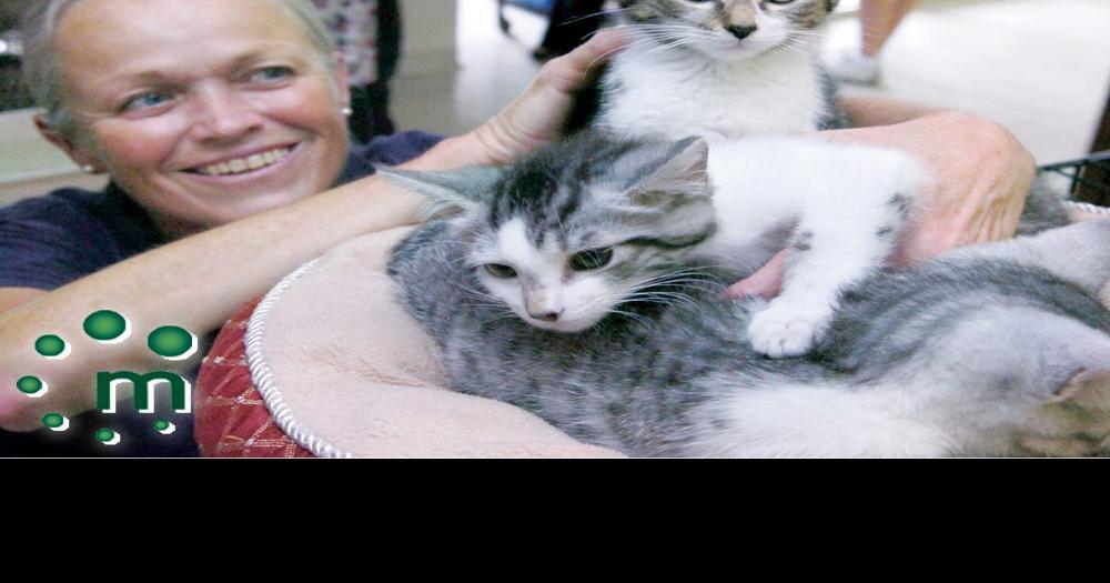 Lowcost cat spay and neuter program comes to Durham