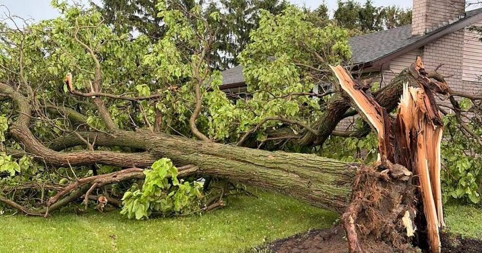 Severe thunderstorm triggers tornado in this southwestern community in Ontario