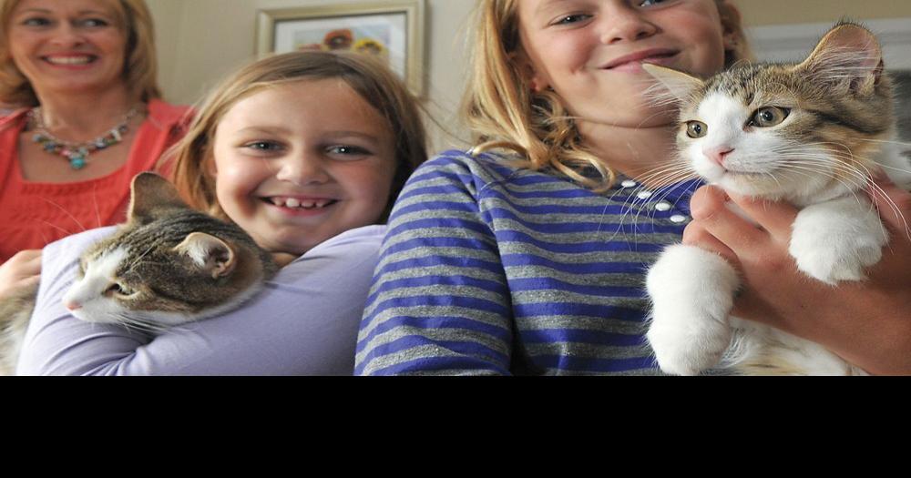 Take home a new companion from Uxbridge pet adoption event