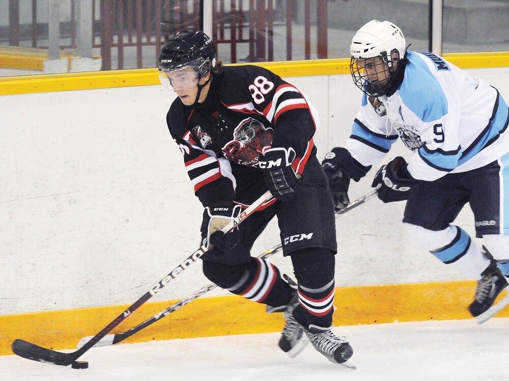 Pickering Panthers split opening weekend