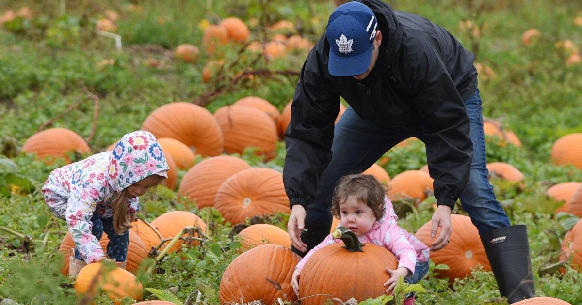 Restaurants open on thanksgiving in layton ut Restaurants open on thanksgiving in layton ut