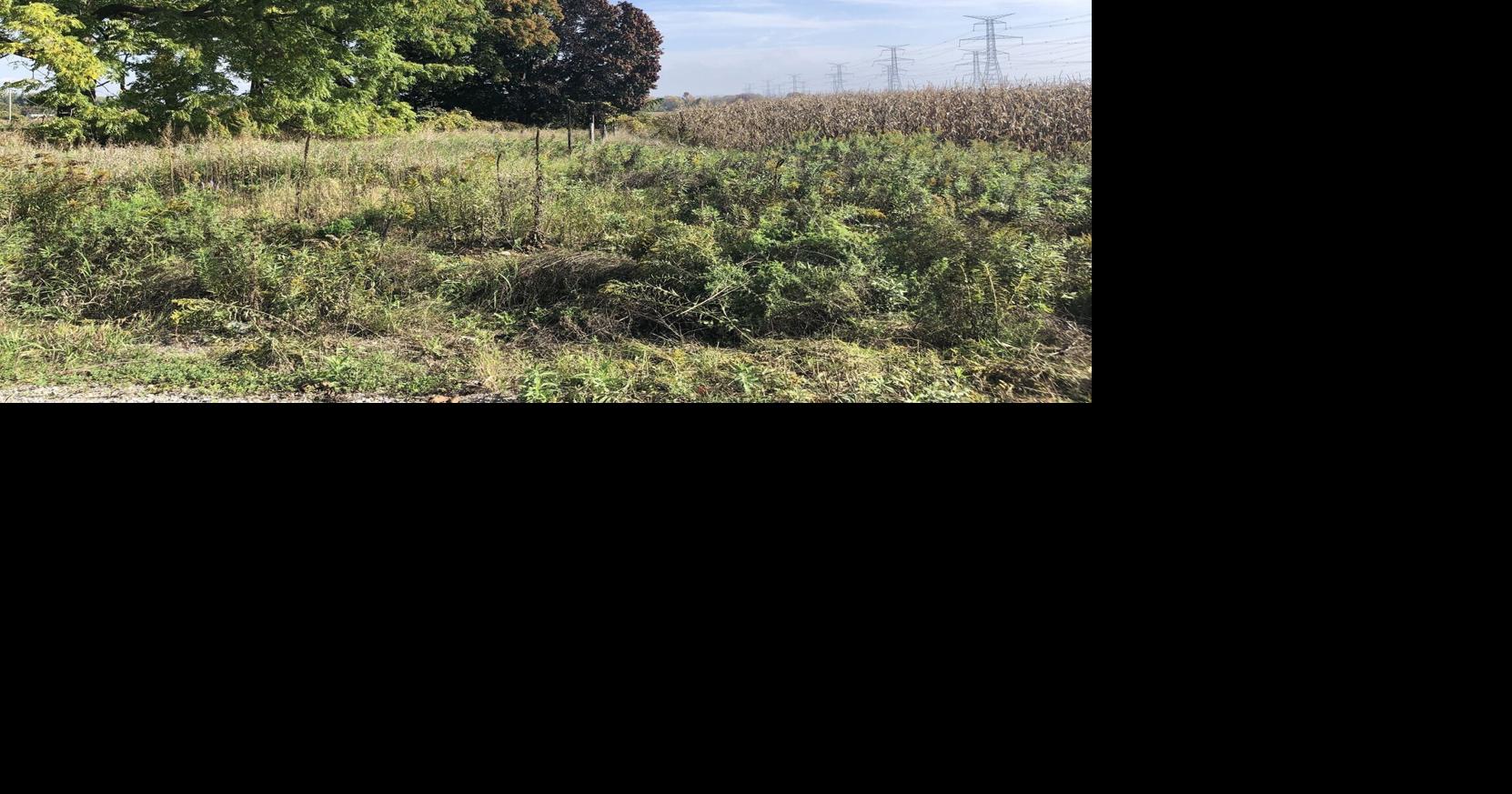 Plans for hundreds of homes coming to Wilmot Creek area