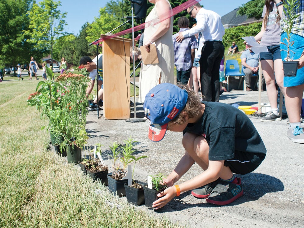 Outdoor classroom and sustainable habitat area opens at Dr. Ross