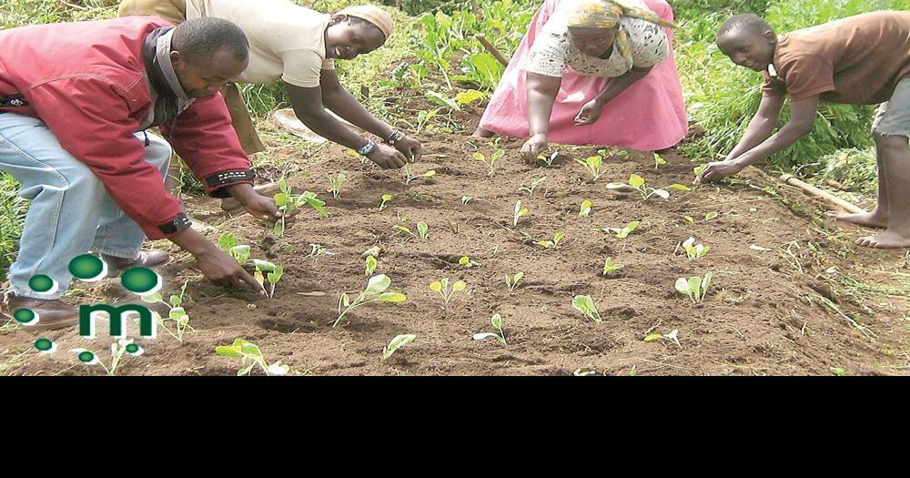 Uxbridge health food store supports Organics 4 Orphans