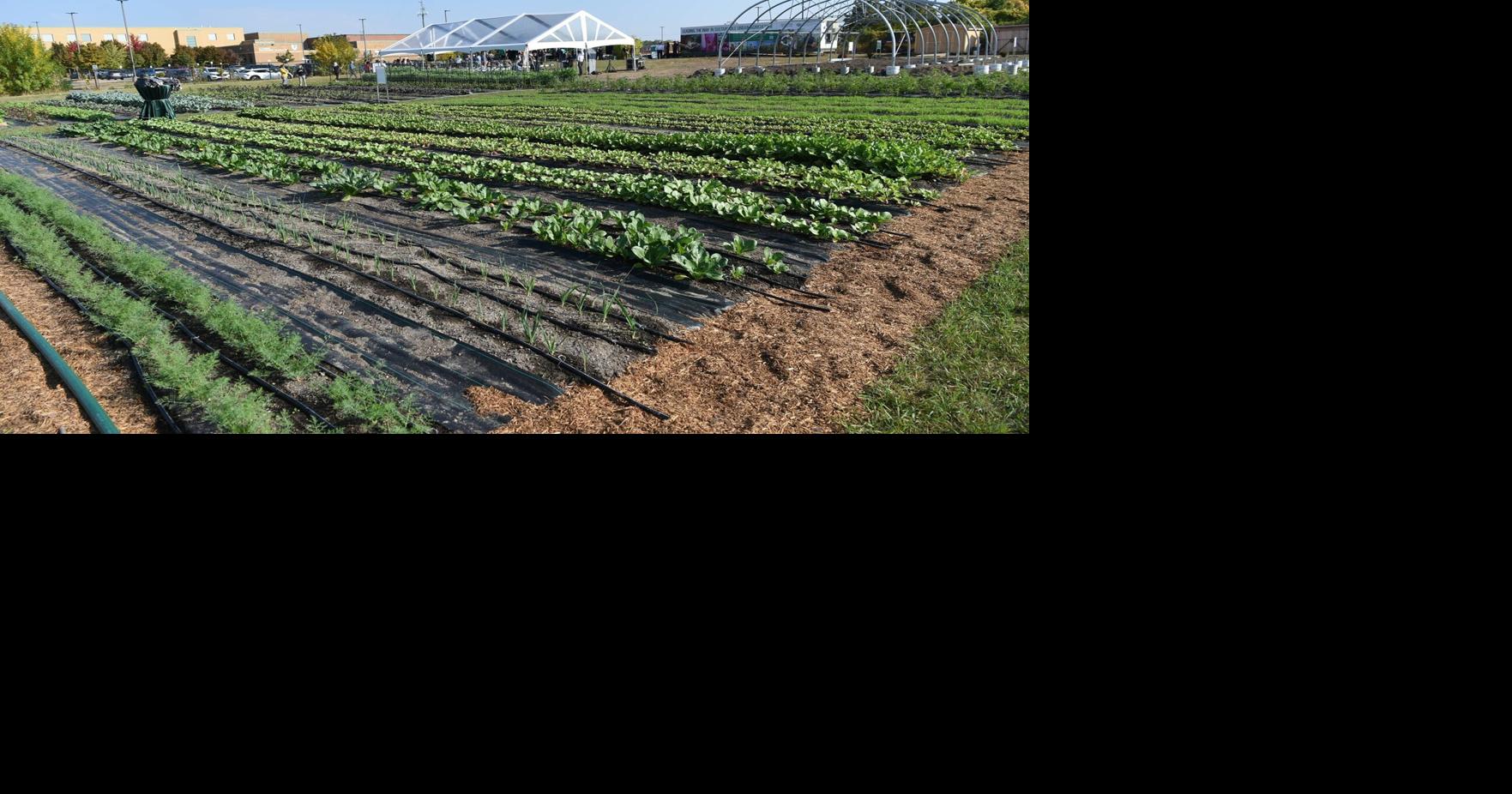 You can take a tour of Durham College’s urban farm in Ajax this week. Here are the details