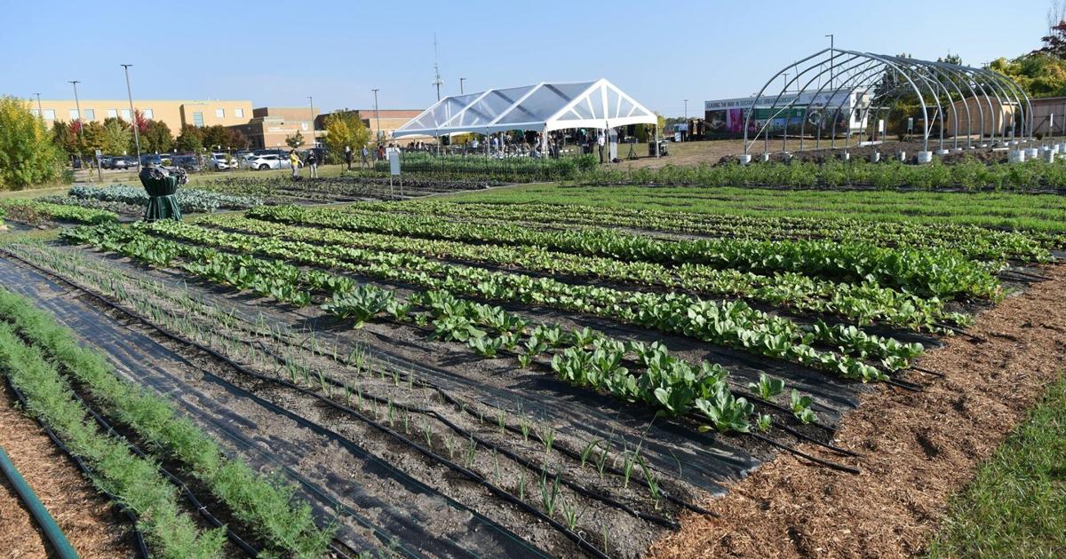 You can take a tour of Durham College’s urban farm in Ajax this week. Here are the details