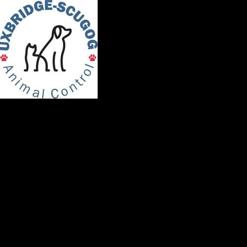 Uxbridge-Scugog Animal Shelter warns of merchandise fraud