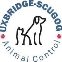 Uxbridge-Scugog Animal Shelter warns of merchandise fraud