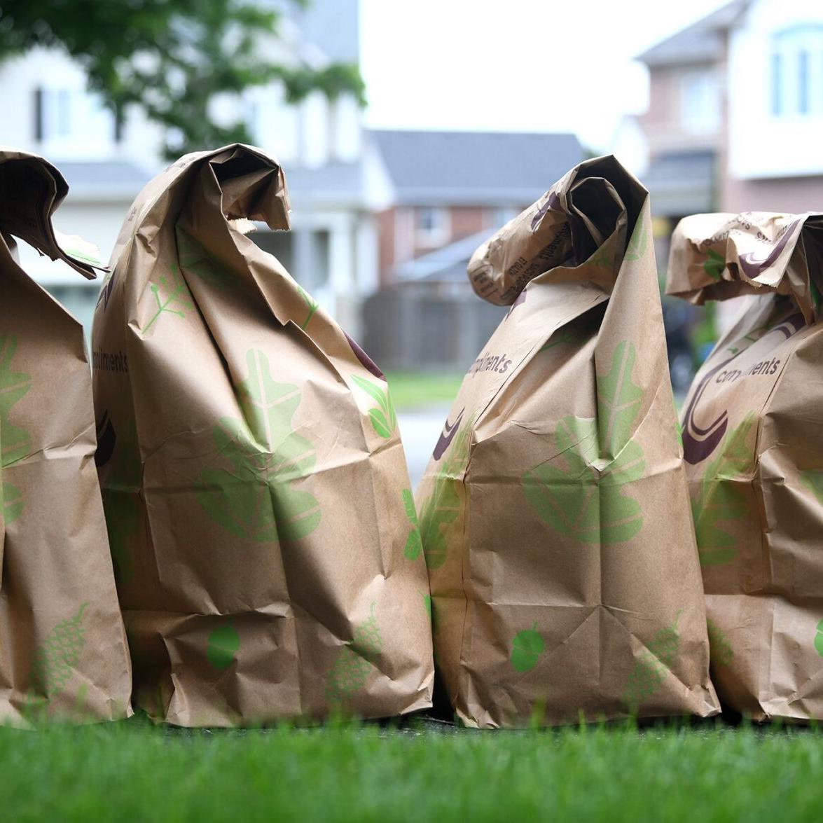 Lawn and Leaf Paper Bag - Endicott, NY - Owego, NY - Owego Endicott Agway