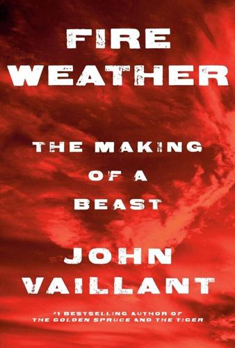 John Vaillant’s "Fire Weather" should make a chill run down your spine