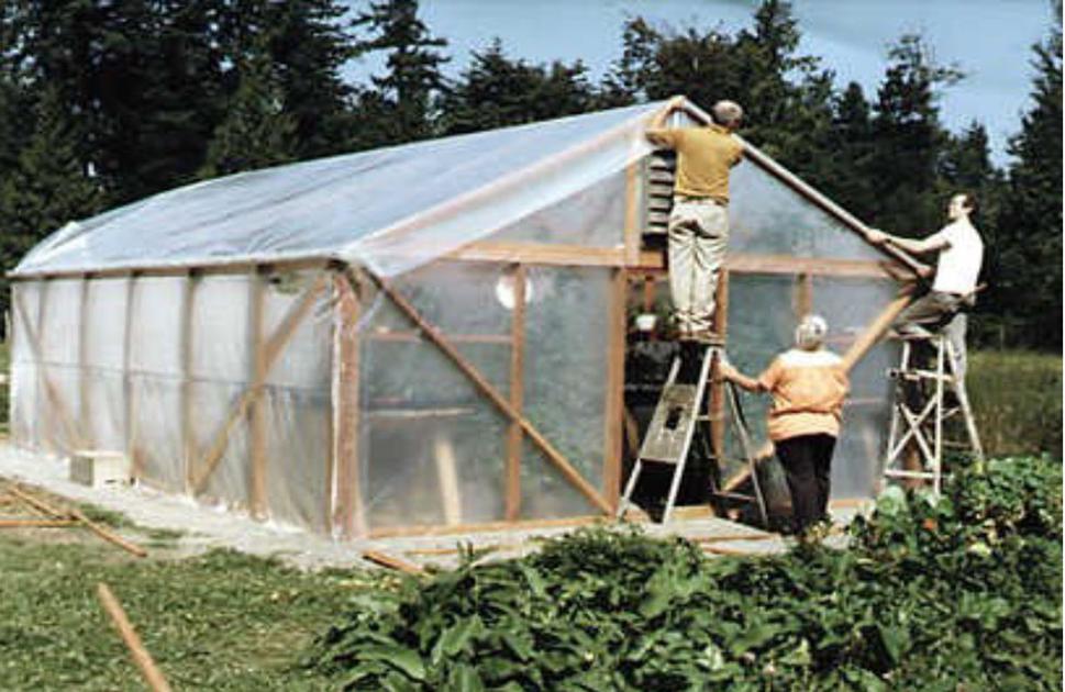 Backyard greenhouses News
