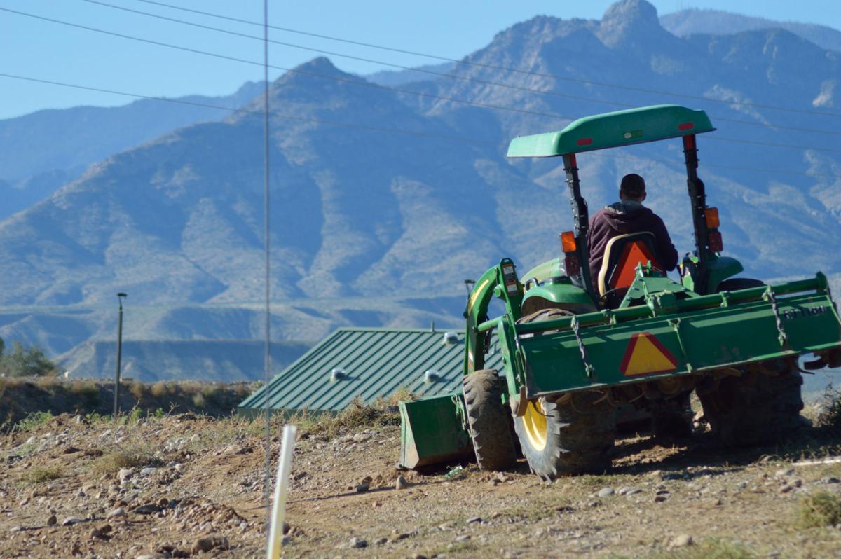 helps drive MADD effort in Thatcher Local News Stories