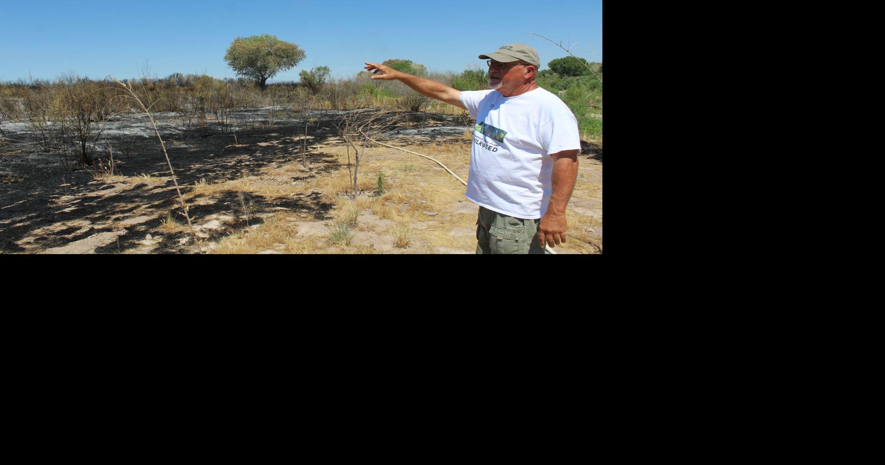 After the fire: Gila Watershed Partnership sees opportunities | Local ...