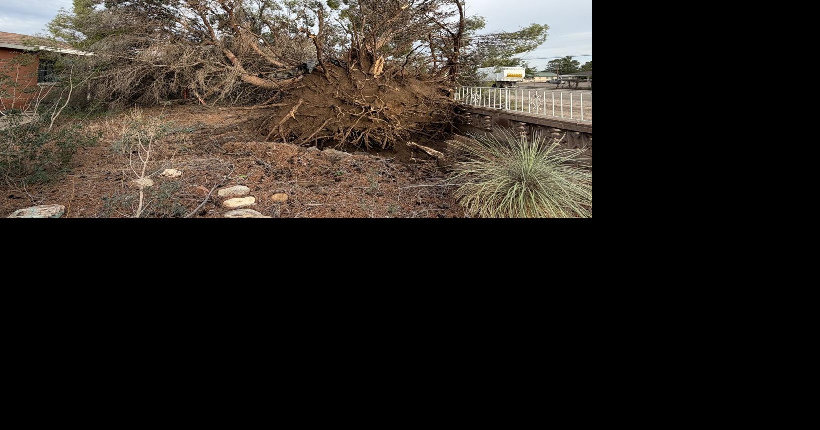 Spotty rains, damaging winds: Inside this year's unpredictable Graham County monsoon