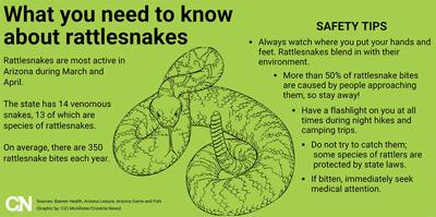 It S Rattlesnake Season Are You Prepared News Eacourier Com