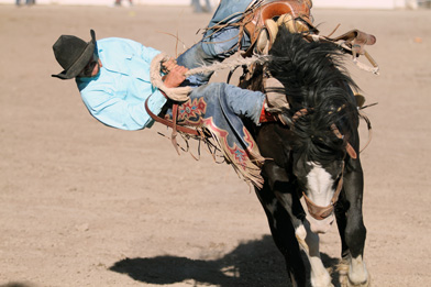 Wild rides at Rex Allen Days Rodeo | Local Sports News | eacourier.com